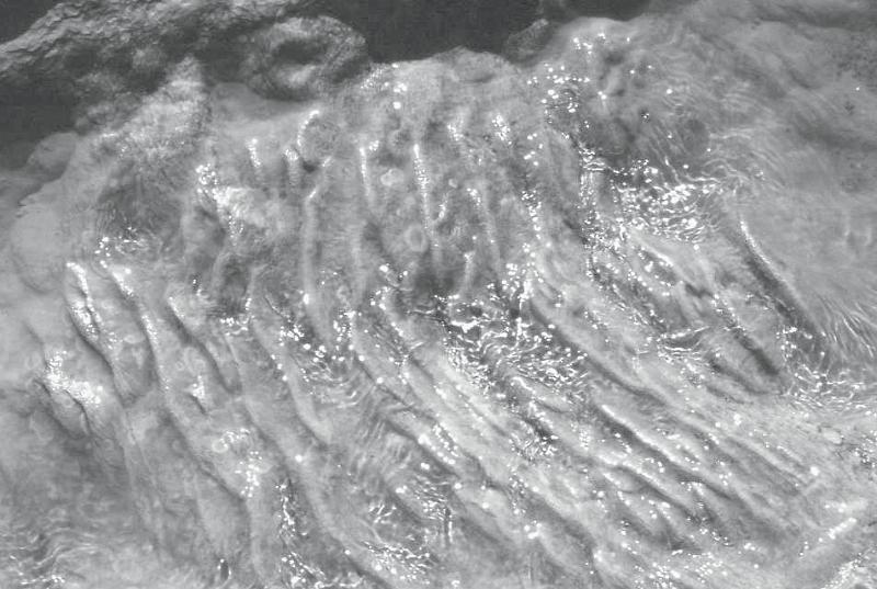 92-Pamukkale (Hierapolis,cascate pietrificate),14 agosto 2006.jpg